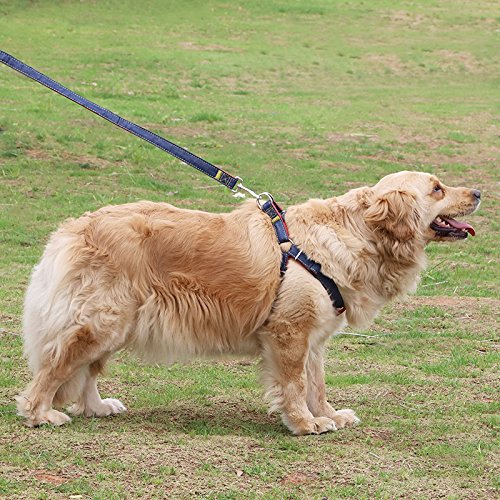 Hypeety Dog Denim Leash Harness Adjustable Heavy Duty Durable Dog Collar No-Pull For Training Walking Running, Good For Large Medium Small Dog (L (11.81'-17.77' Chest Girth))
