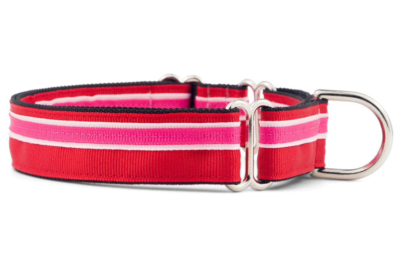 If It Barks 1'' Martingale Collar For Dogs, Adjustable Nylon, Usa Made, Large, Shortcake