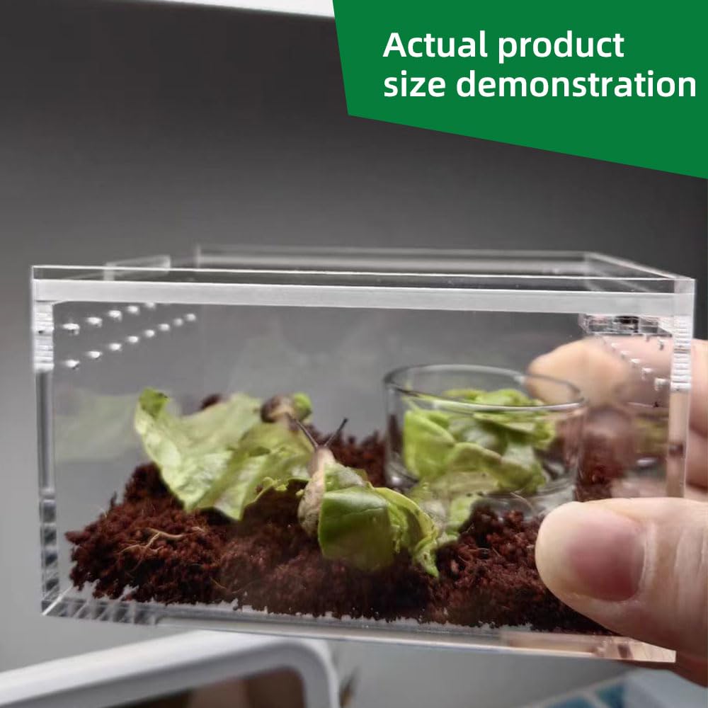 Jobede Jumping Spider Enclosure, Integrated Reptile Breeding Box Magnetic Acrylic Reptile Breeding Box For Scorpion Sling Isopod