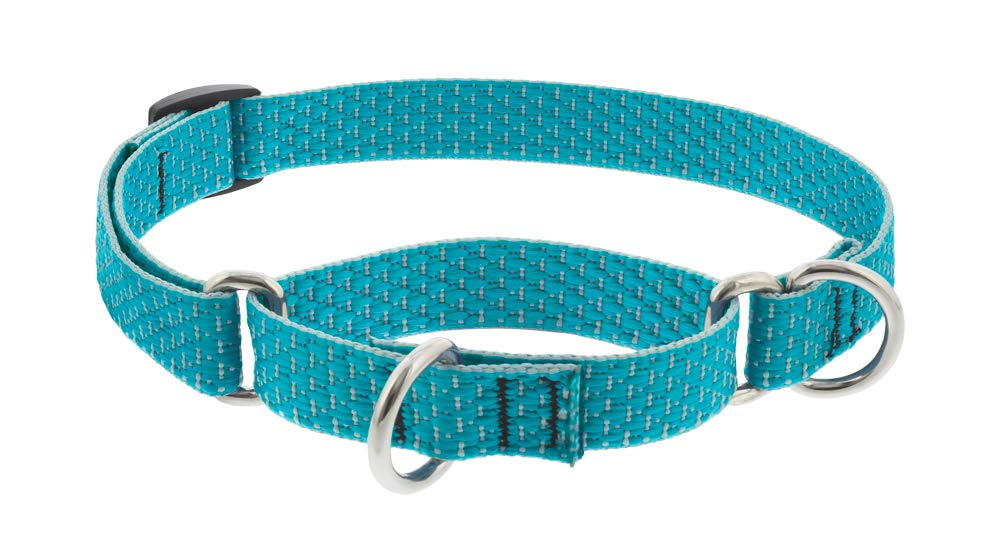 Martingale Dog Collar By Lupine Eco Collection 3/4'' Wide Tropical Sea Adjusts 14'' To 20''