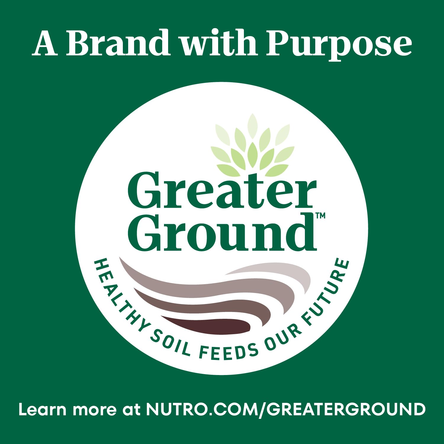 Nutro Wholesome Essentials Senior Dry Cat Food, Chicken & Brown Rice Recipe, 14 lb. Bag
