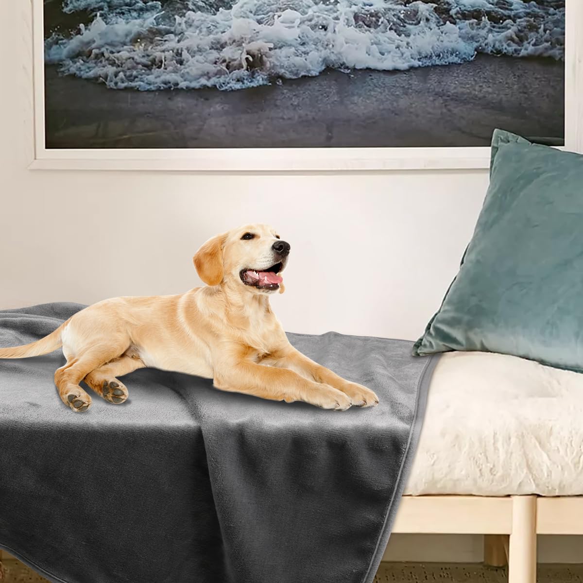 Onarway Dog Blanket Washable for Puppy: 4 Packs Dog Blankets 28   x20    - Fluffy Soft Small Throw for Cat Puppy Kitten Dogs - F