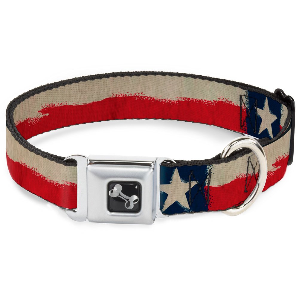 Buckle-Down Dog Collar Seatbelt Buckle Texas Flag Close Up Distressed Painting, Multicolor, 1.5' Wide - Fits 13-18' Neck - Sma