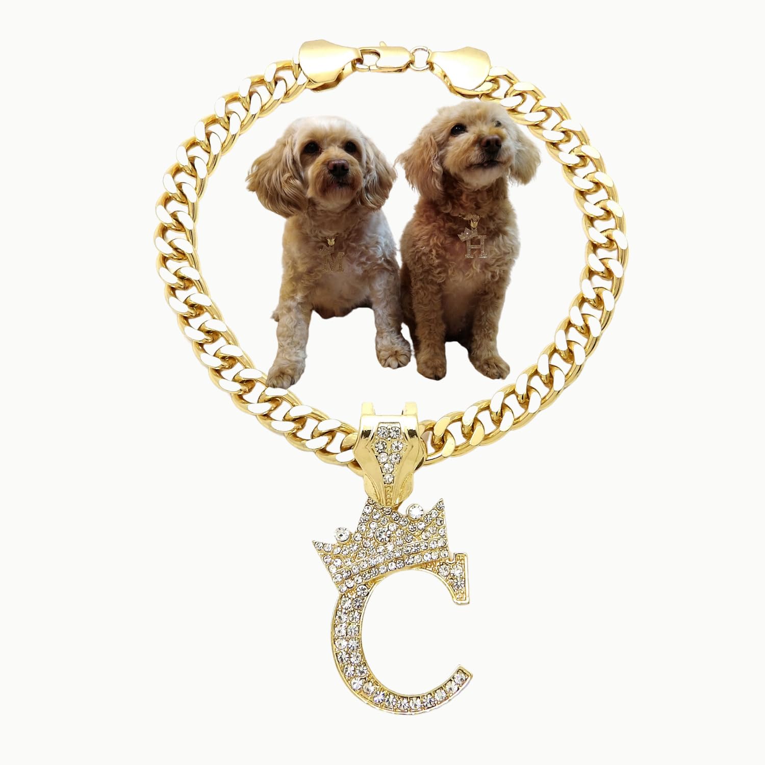 Initial Letter Cuban Chain Dog Chain Pet Chain Pet, Cat, Puppy Necklace (C, 12'')