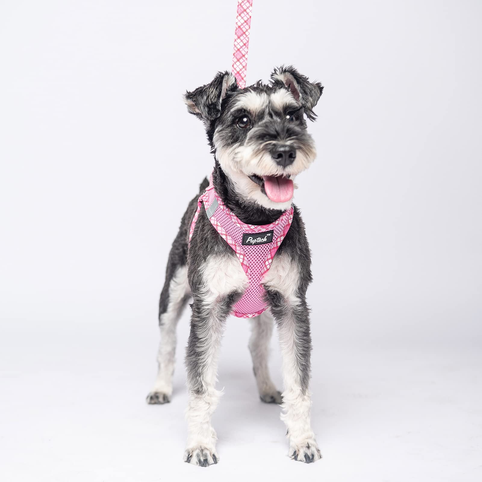 Pupteck Dog Harness And Leash Set For Small Medium Dogs No Pull Step-In Soft Mesh Puppy Cat Vest Harnesses Reflective At Night, Pink S