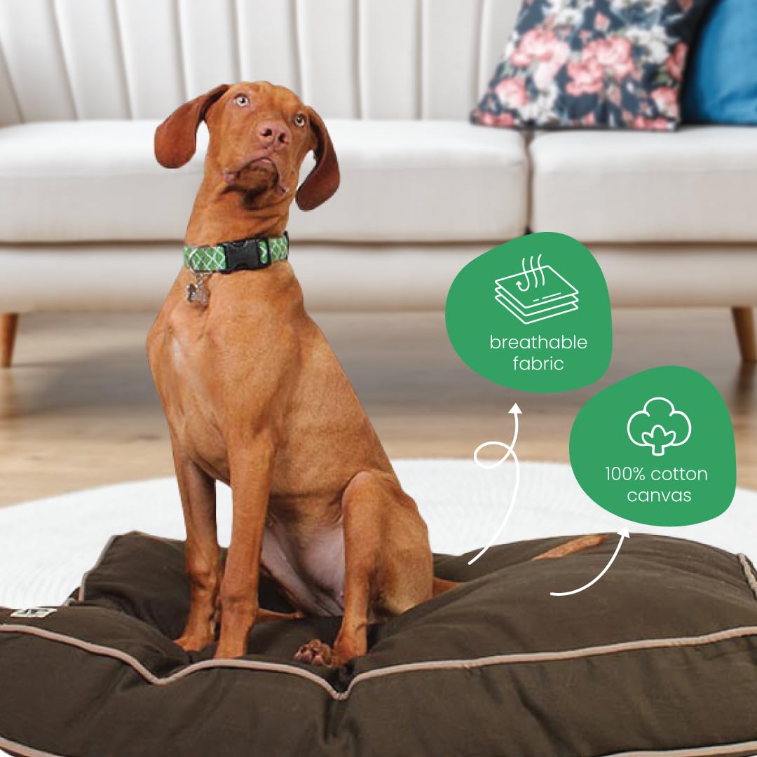Molly Mutt Small Dog Bed Cover - Landslide Print - Measures 22'X27'X5'- 100% Cotton - Durable - Breathable - Sustainable - Ma