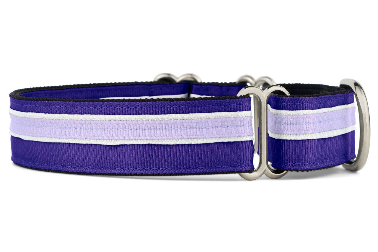 If It Barks 1'' Martingale Collar For Dogs, Adjustable Nylon, Usa Made, Small, Grape Crush