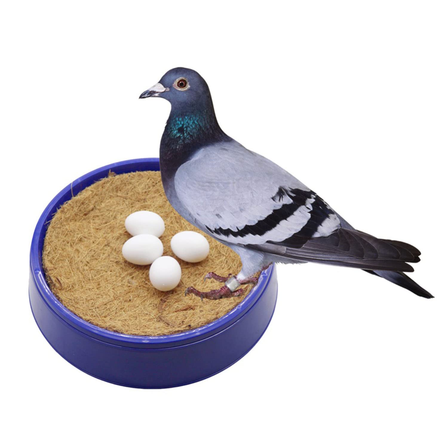 Maxmoral 12Pcs Fake Eggs Plastic False Pigeon Eggs For Hatch Breeding Supplies Solid Pigeon Fake Egg Pigeon Hatching Supplies