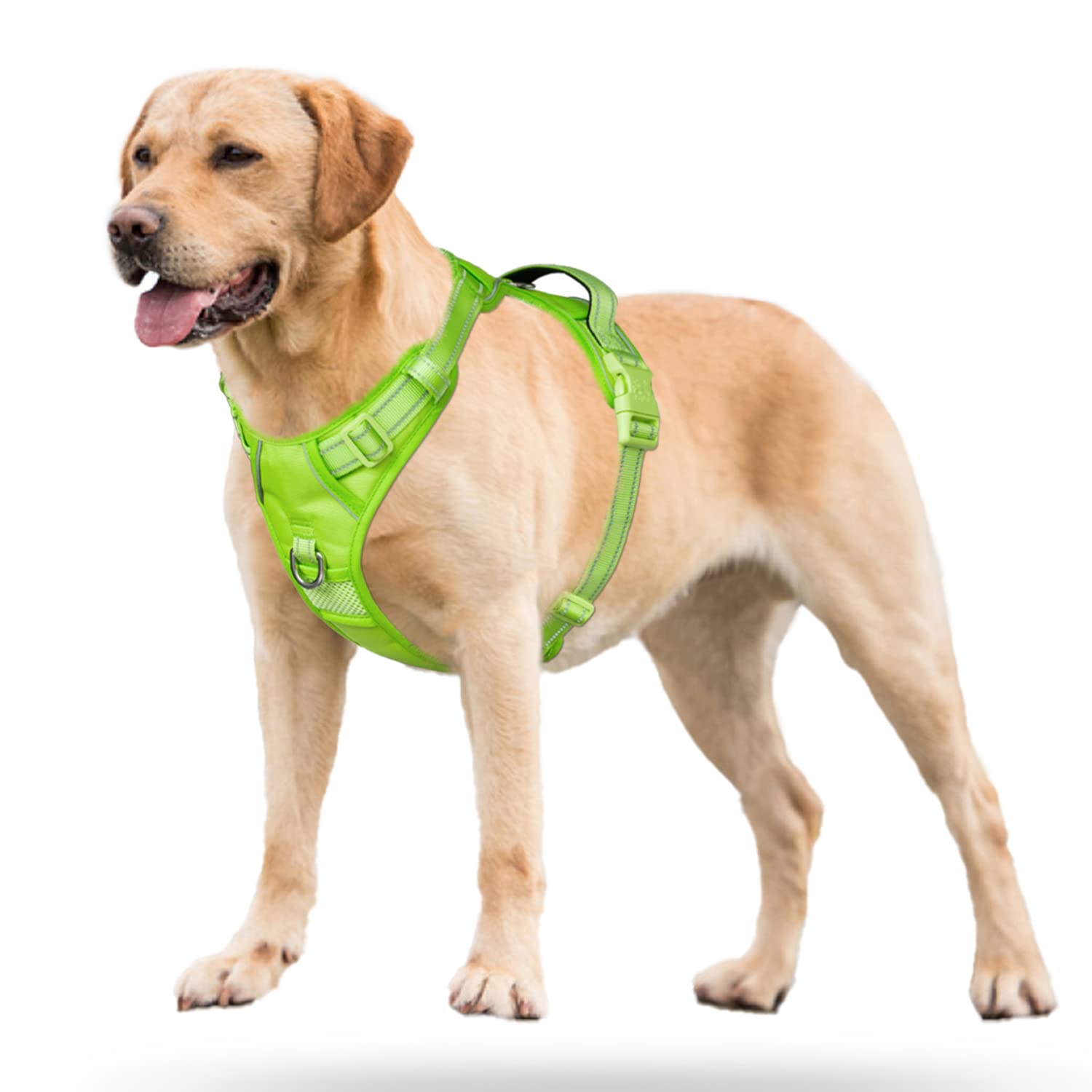 Poypet No Pull Dog Harness, No Choke Reflective Dog Vest, Adjustable Pet Harnesses With 2 Leash Attachments With Easy Control Padded Handle For Small Medium Large Dogs(Green Matching Trim,S)