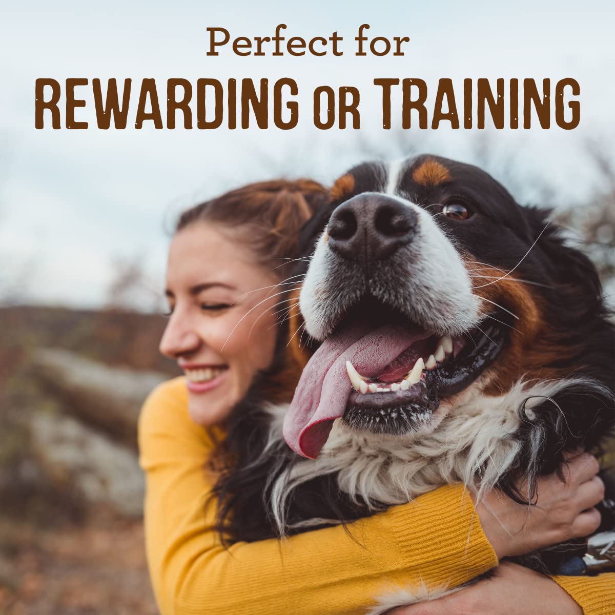 Merrick Power Bites Dog Treats, Beef & Sweet Potato, 6 oz Bag, Model 78512