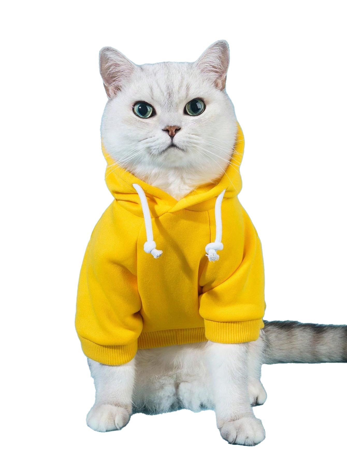 Qwinee Basic Dog Hoodie, Dog Warm Jacket, Cat Apparel, Dog Shirt, Dog Clothes For Puppy Kitten Small Medium Dogs Cats Yellow L