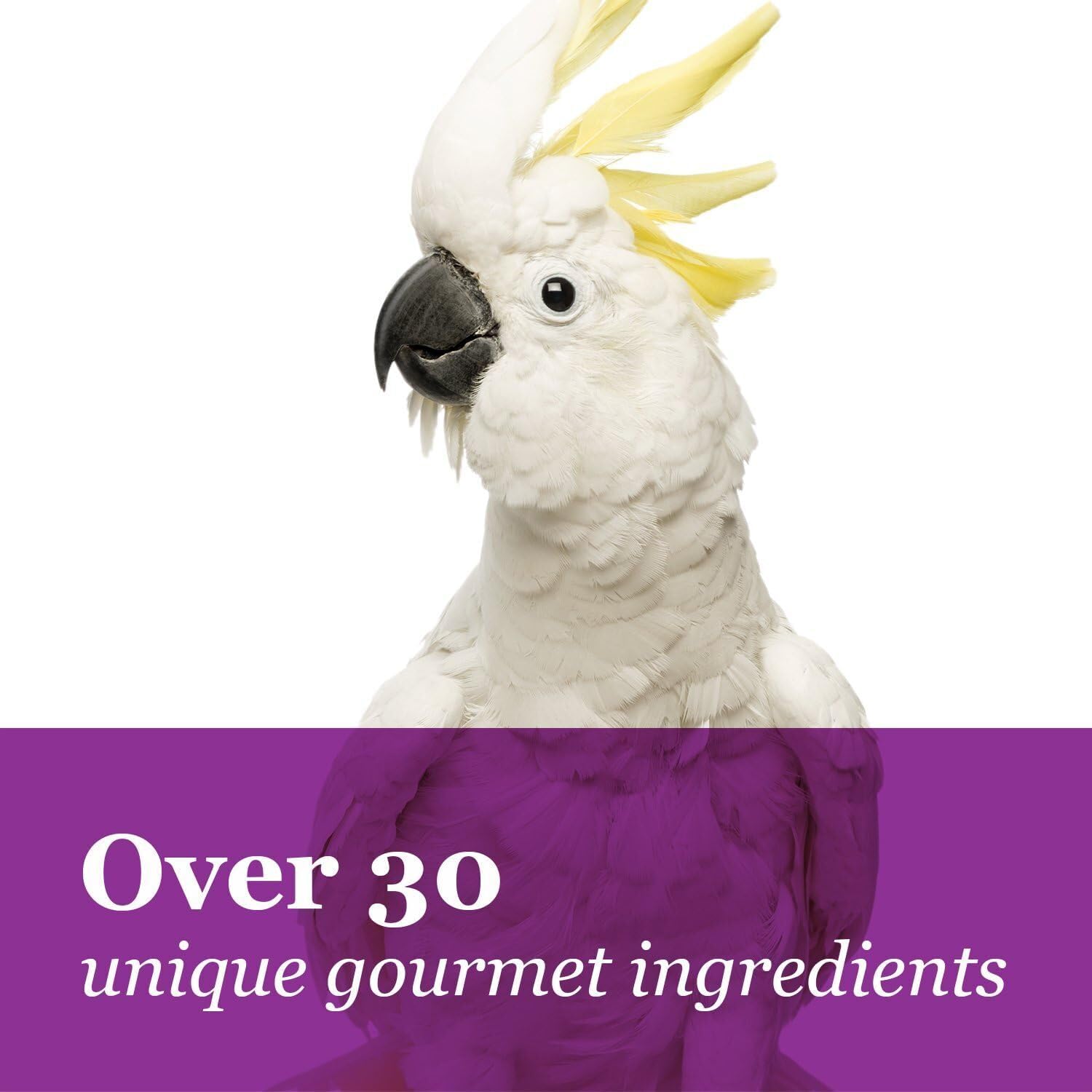 Tropical Carnival Gourmet Macaw Food Big Bites - Seeds, Veggies, Fruits & Nuts with Probiotics - 14 lb