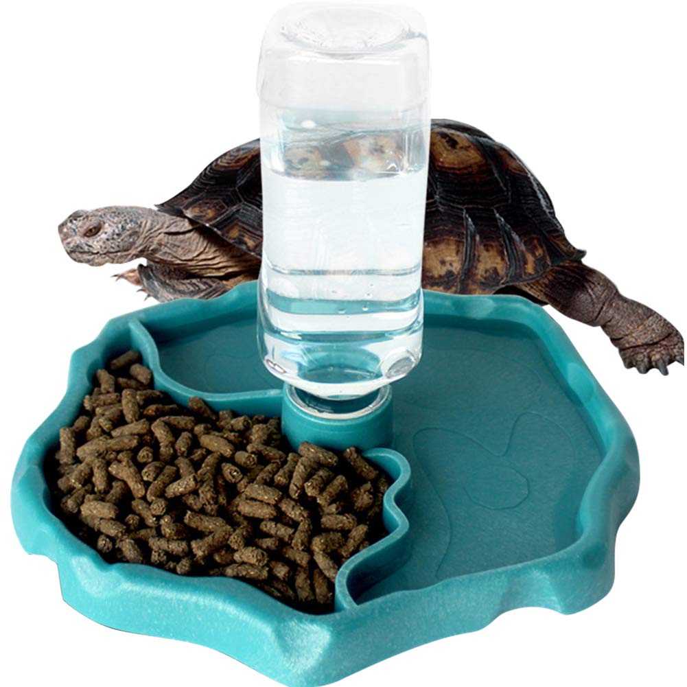 WINGOFFLY Automatic Reptile Feeders Waterer Automaticrefilling Turtle Water Dispenser Bottle Tortoise Food Water Bowl Feeding D