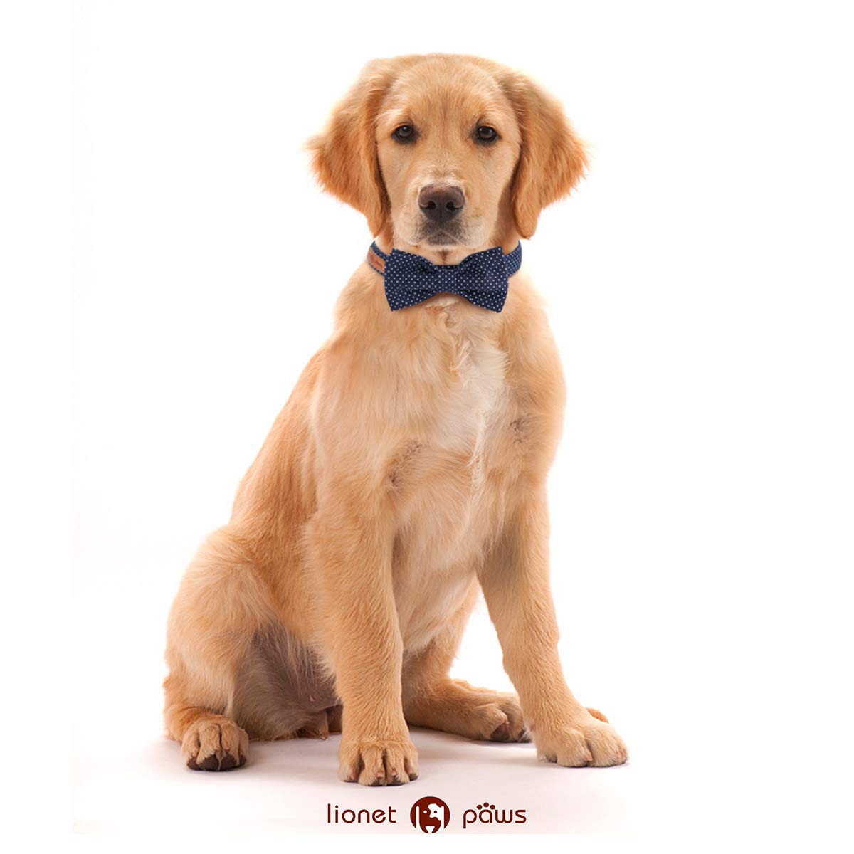Lionet Paws Boy Dog Collar With Bowtie, Comfortable Adjustable Cute Navy Blue Bow Tie Collar For Male Dogs Gift, Small, Neck 10-