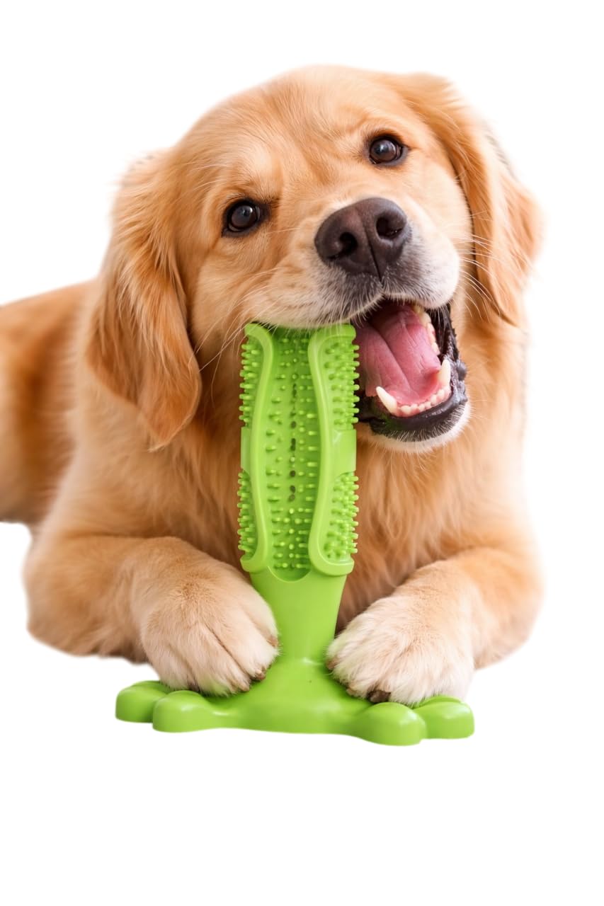 Canine Products Dog Dental Chew Toy Toothbrush Stick, Rubber Teeth Cleaning & Gum Massage Toy For Dogs, Treat Dispensing Interac