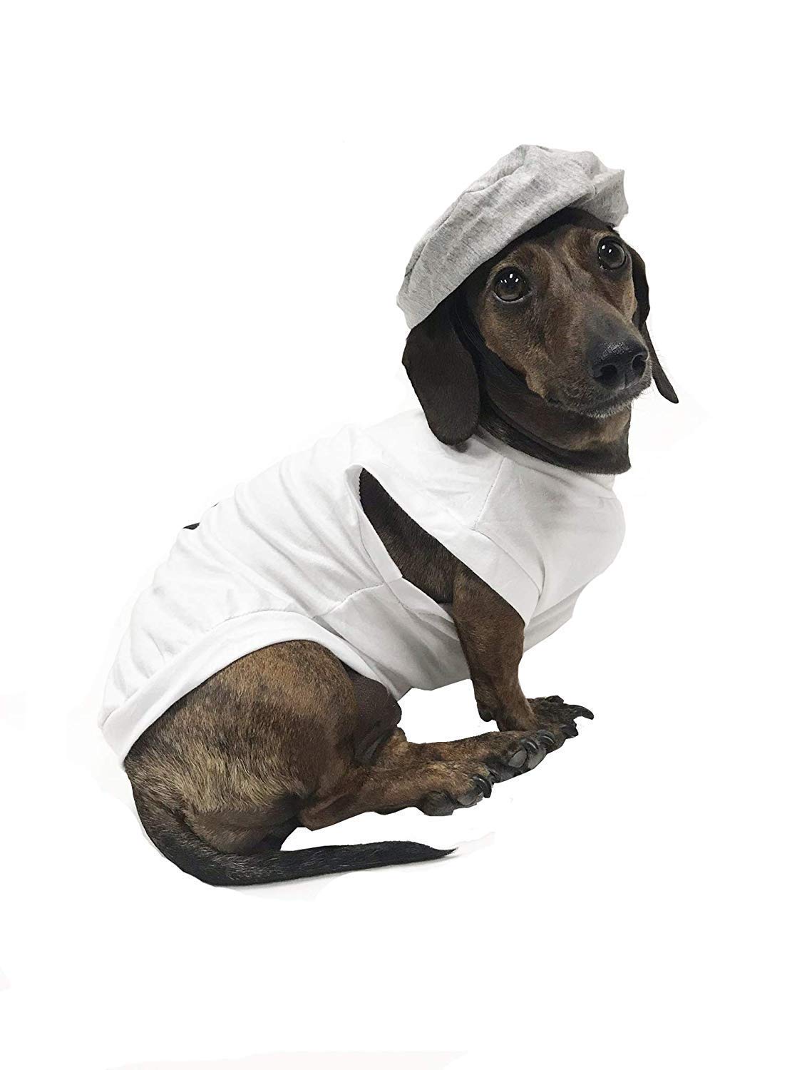 Midlee Salt & Pepper Dog Costume (Salt, X-Large)