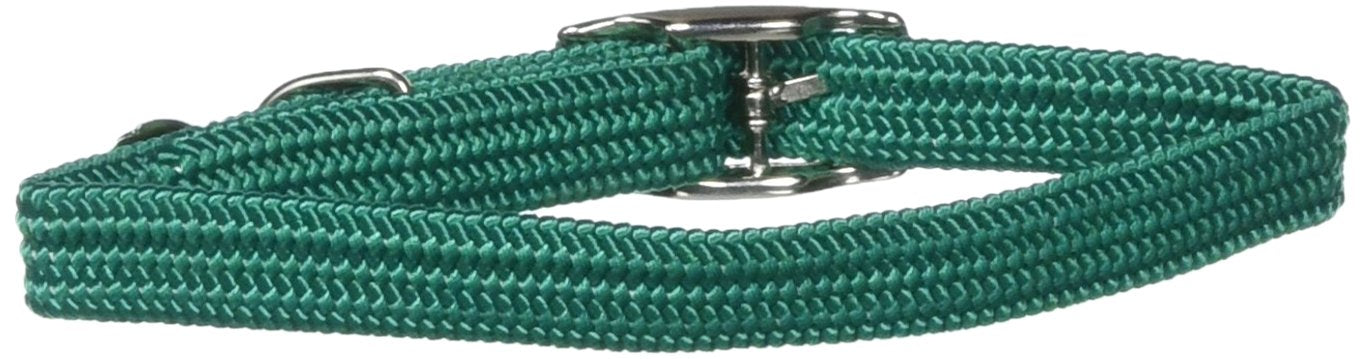 Omnipet Kool Kat Elastic Cat Safety Collar With Bell, Green, 10''