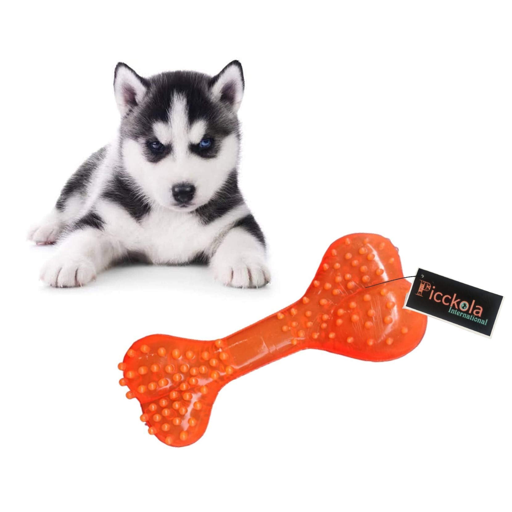 Picckola International 100% Non Toxic Rubber Flavoured Puppy Bone Toy Soft Spike Bone Chew Toy Teething Toy (Soft Spike Bone, Co