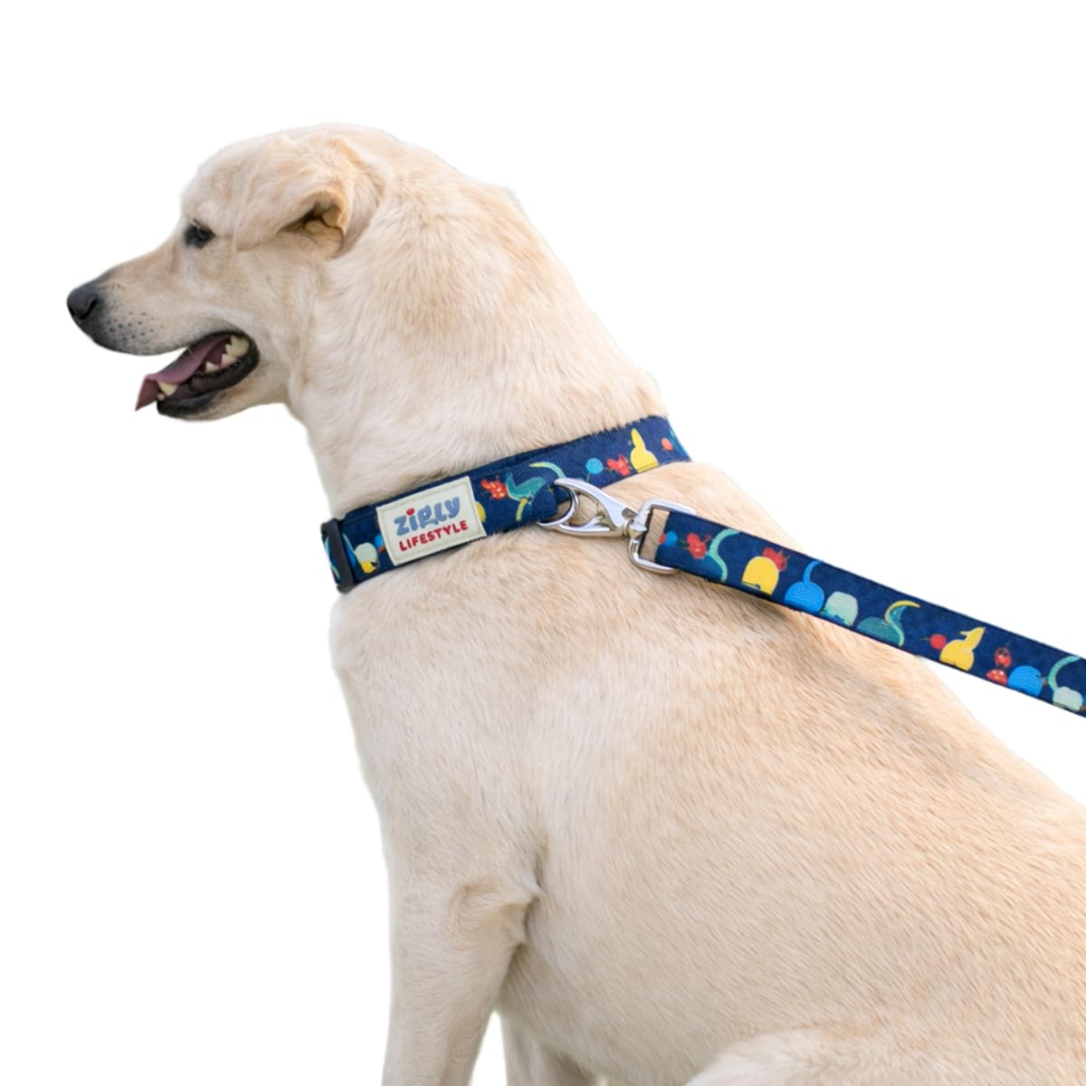 Zigly Tropical Tails Adjustable Dog Collar For Small Dogs | Durable Polyester Pet Collar With Secure Metal DRing | Comfortable 
