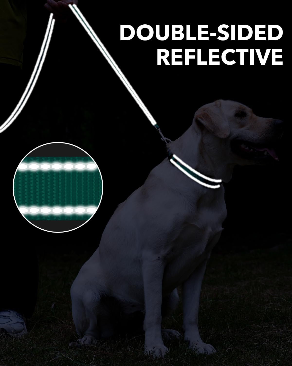 Taglory Nylon Dog Leash, 6ft Reflective with Soft Padded Handle, for Small Medium Dogs, Turquoise