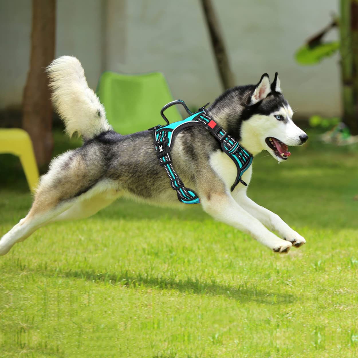 Poypet No Pull Dog Harness, No Choke Front Clip Reflective Dog Vest With Soft Padded Vertical Handle, 3 Leash Attachments For Sm