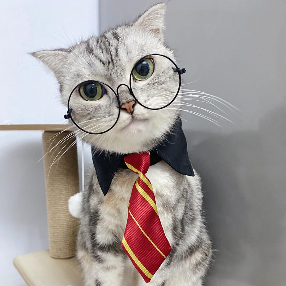 Cat Witch Costume Halloween Costume For Pet Wizard Cute Decorations Suitable For Small Dogs And Cats