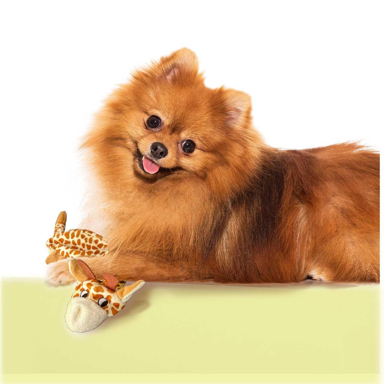 Trenton Gifts Extra Long Stuffing Free Dog Toys With Squeaker. Set Of 2. Giraffe And Alligator