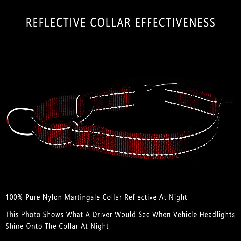 Plutus Pet Reflective Martingale Collar With Quick Snap Buckle,No Pull Dog Choker Collar For Small Medium Large Dogs,Xs,Red