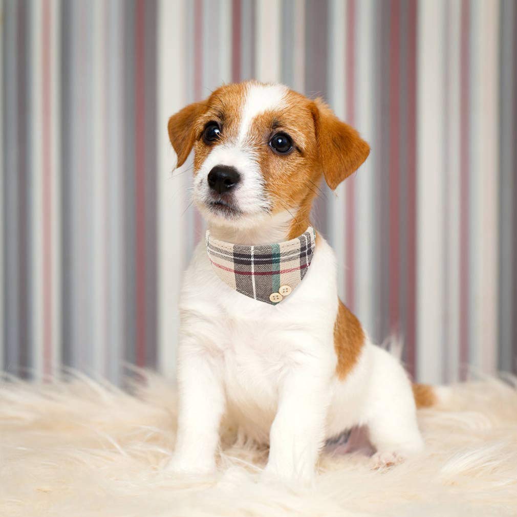 EXPAWLORER Dog Collar and Leash Set - Adjustable Plaid Bow Tie & Bandana, Small, Cream, Model INV005-01, Perfect for Dogs & Cats