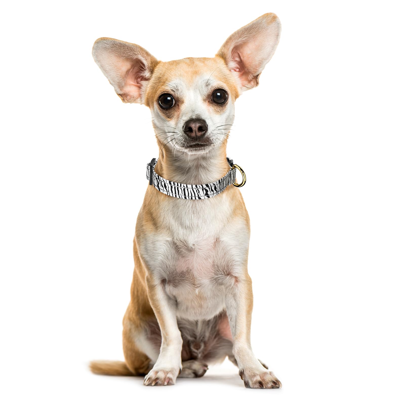 Tmoodel Reflective Dog Collar For Extra Small Dogs Cats, Cute Boho Adjustable Heavy-Duty Nylon Puppy Collar For Boy And Girl Fem
