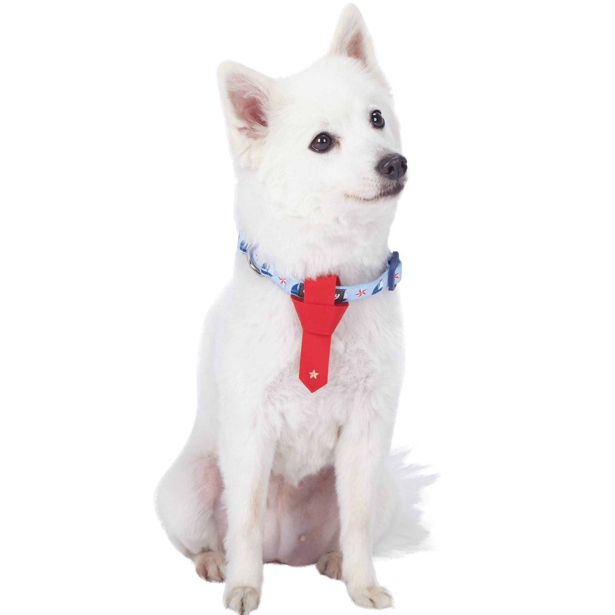 Blueberry Pet 4 Patterns Light Blue Starry Sailboat Designer Adjustable Tie Dog Collar, Medium, Neck 14.5'-20'