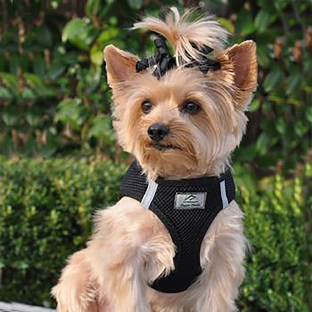 Doggie Design Amercan River Ultra Choke-Free Harness (Black, Small (Chest 13'-16' Weight 6-11 Lbs))