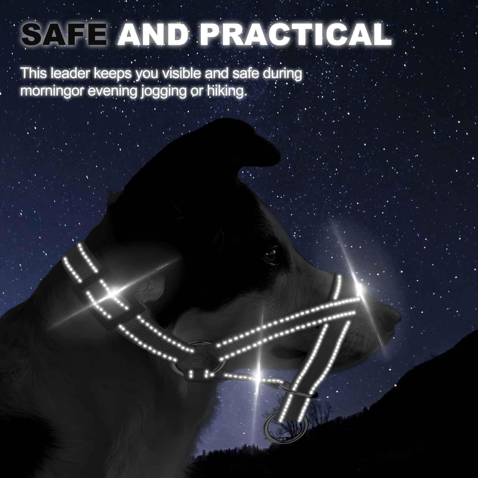 Wintchuk Dog Head Collar, Head Collar With Reflective Strap To Stop Pulling For Small Medium And Large Dogs, Adjustable (M, Blue