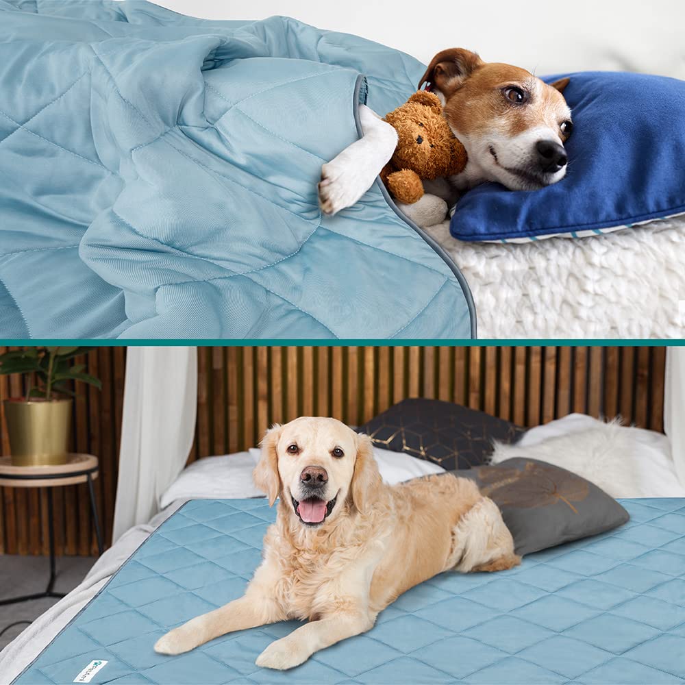 Petami Premium Cooling Dog Blanket | Lightweight Fluffy Pet Throw Blanket Bed Cover For Dogs, Cat, Puppies | Pet Blanket Furniture Protector Couch Sofa | Reversible Fuzzy Cozy | 90X90, Dusty Blue