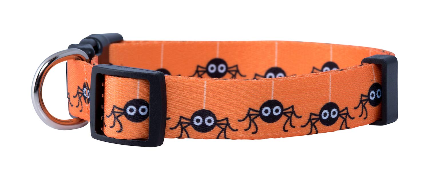Native Pup Halloween Dog Collar (Small, Spiders)