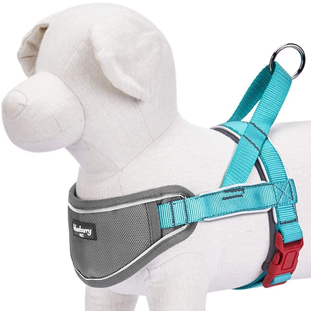 Blueberry Pet 8 Colors Soft & Comfy 3M Reflective Strips Padded Dog Harness Vest, Chest Girth 20.5' - 26', Lake Blue, Medium, Nylon Adjustable Training Harnesses For Dogs