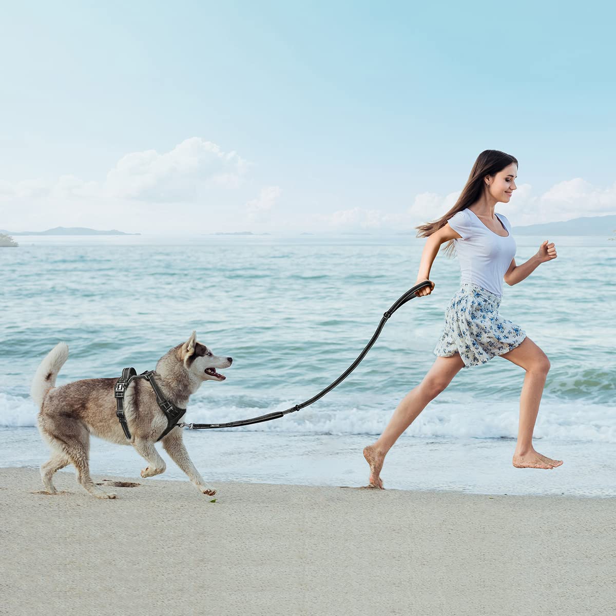 Poypet 5 Feet Dog Leash - 3M Reflective - 2 Cushioned Handles - Functional Car Seat Belt(Black)