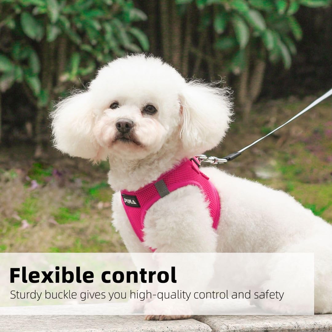 Pina Dog Harness For Small Dogs No Pull, Leash Set, No Choke Breathable Mesh Vest, Lightweight Adjustable For Medium Dogs - Easy