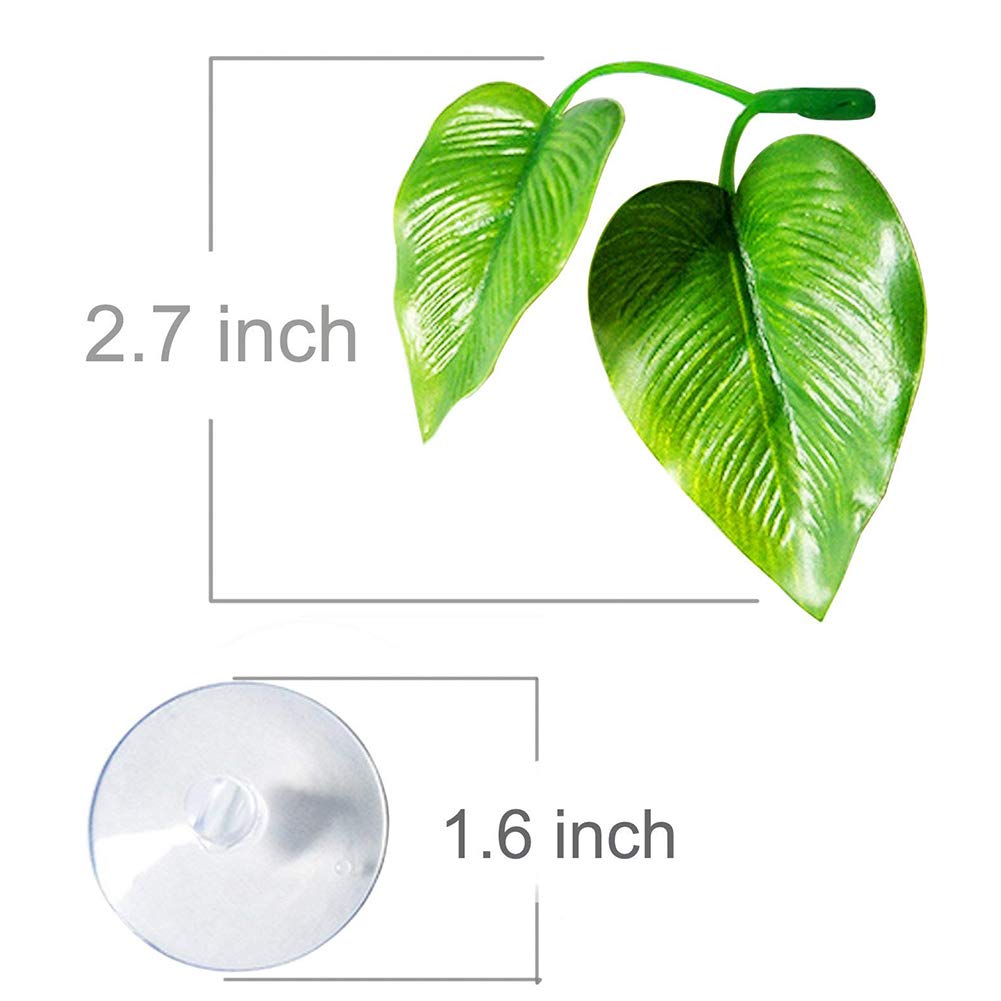 Cousduobe 2 Pack Betta Fish Leaf Pad Improves Betta'S Health By Simulating The Natural Habitat - Natural, Organic, Comfortable Rest Area For Fish Aquarium
