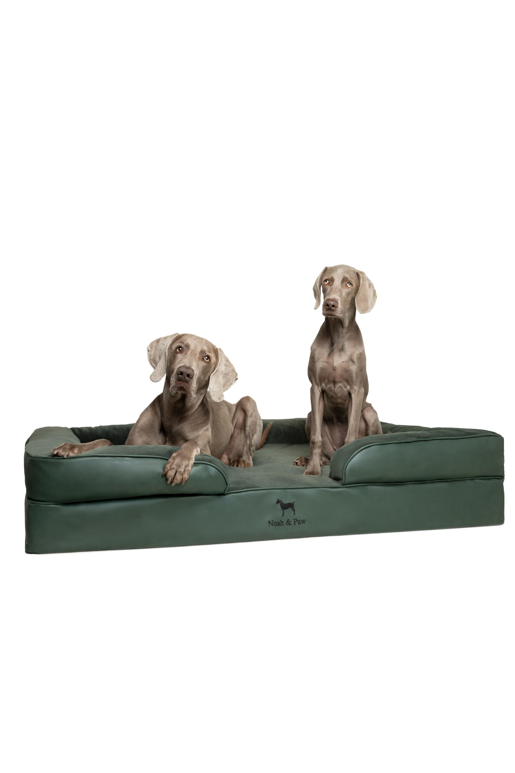 NOAH & PAW Giant Dog Bed XXL, 55x45x11 Inch, Orthopedic Dog Beds, Eggshell Memory Foam Infused with Cooling Gel, Inner Cover, Wa