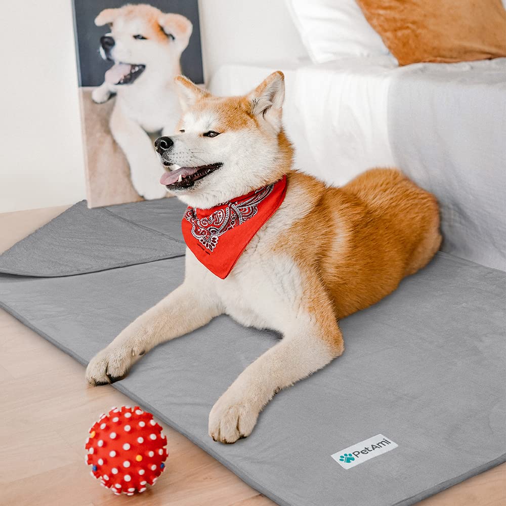Petami Waterproof Dog Blanket For Small Medium Dogs, Pee Proof Pet Blanket Sherpa Fleece Couch Cover, Reversible Cat Throw Bed Sofa Protector, Soft Plush Washable Pad (Medium 29X40, Light Gray)