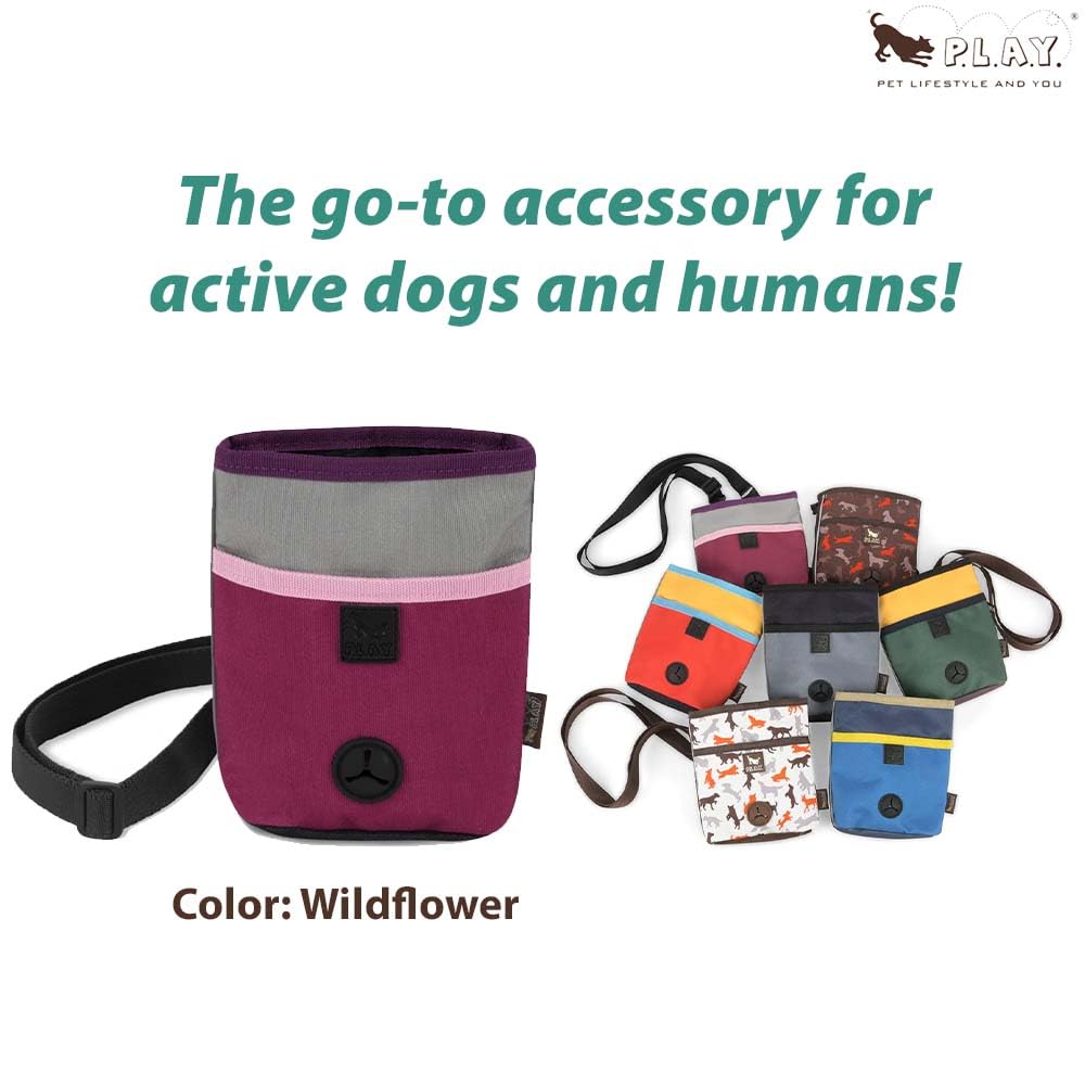 P.L.A.Y. Scout & About Deluxe Training Treat Pouch with Poop Bag Dispenser - 3 Way Wear, Detachable & Adjustable Strap, Reflecti
