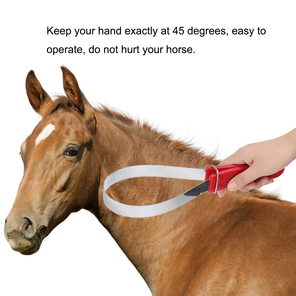 QANYEGN Stainless Steel Shedding Blade, Dog Shedder Scraper Tool Nonslip Handle, Multi Purpose Grooming Scratching ARY for Dogs,