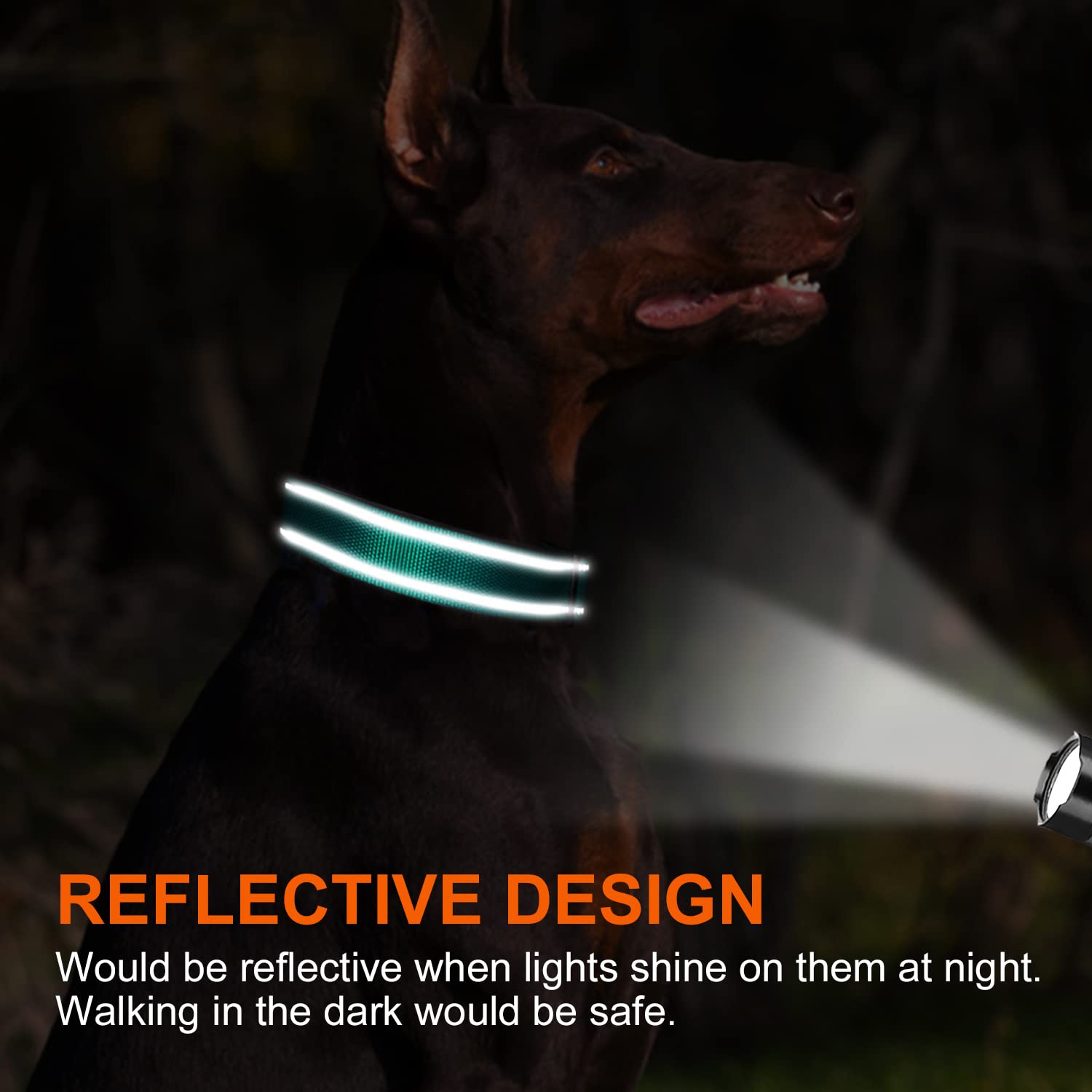 Joytale Personalized Dog Collars, Reflective Nylon Dog Collar With Engraved Name Plate, Customized For Small Dogs, Teal, S