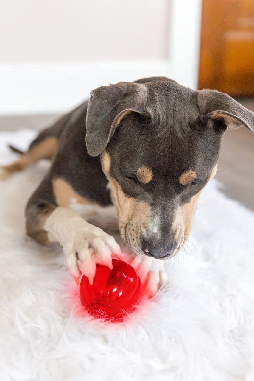 Pet Qwerks Blinky Babble Ball - Flashing Interactive Dog Toy - Large