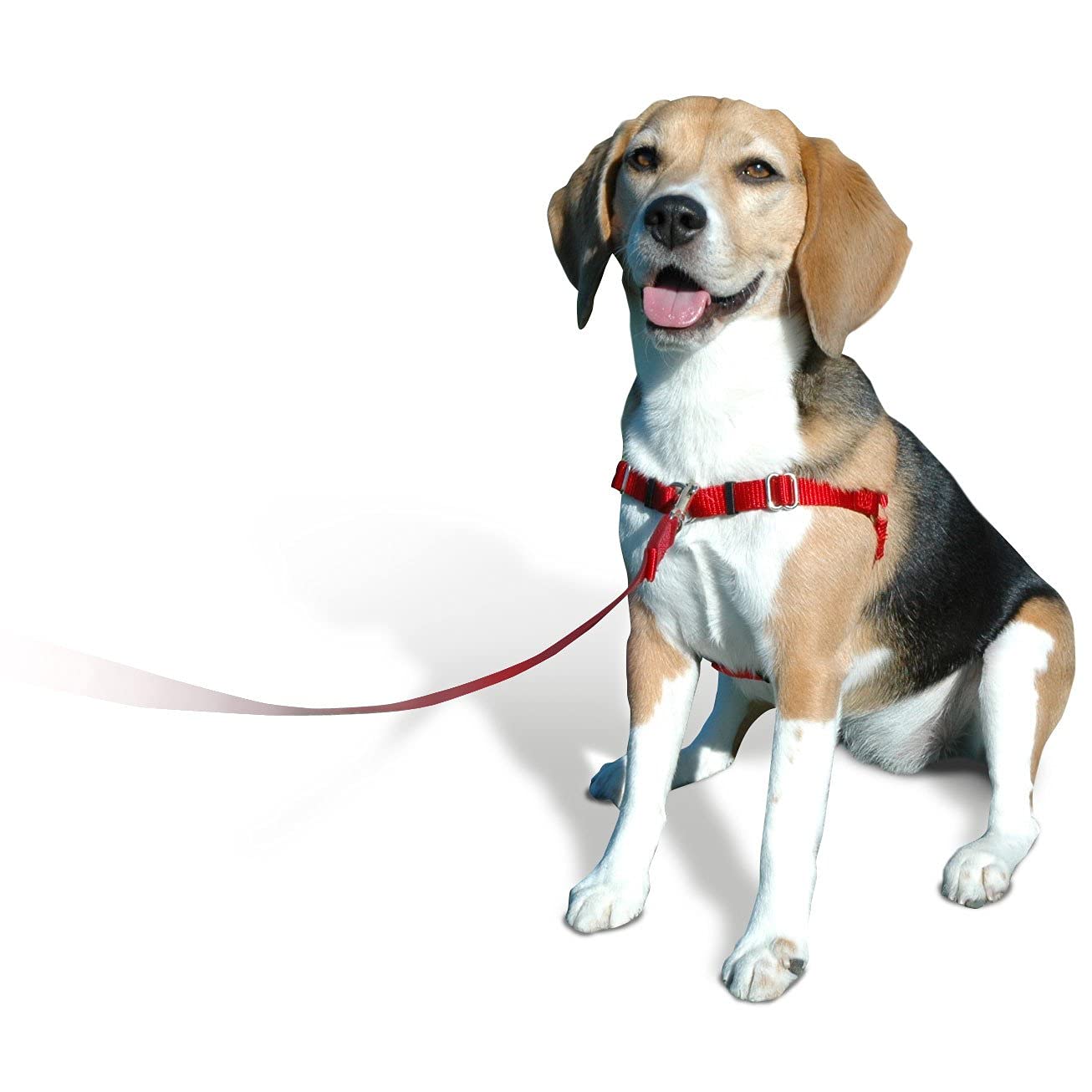 Softouch Sense-Ible No-Pull Dog Harness - Black Small