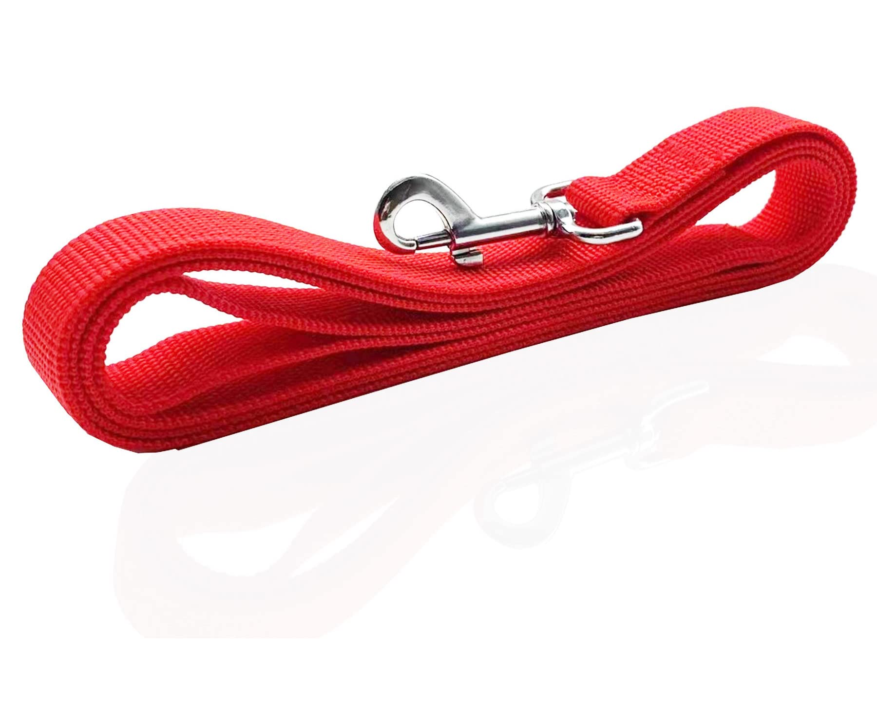Nylon Dog Leash 12 Feet Long, Walking Training Dog Leashes For Medium Large Dogs(1'' X 12 Ft, Red)
