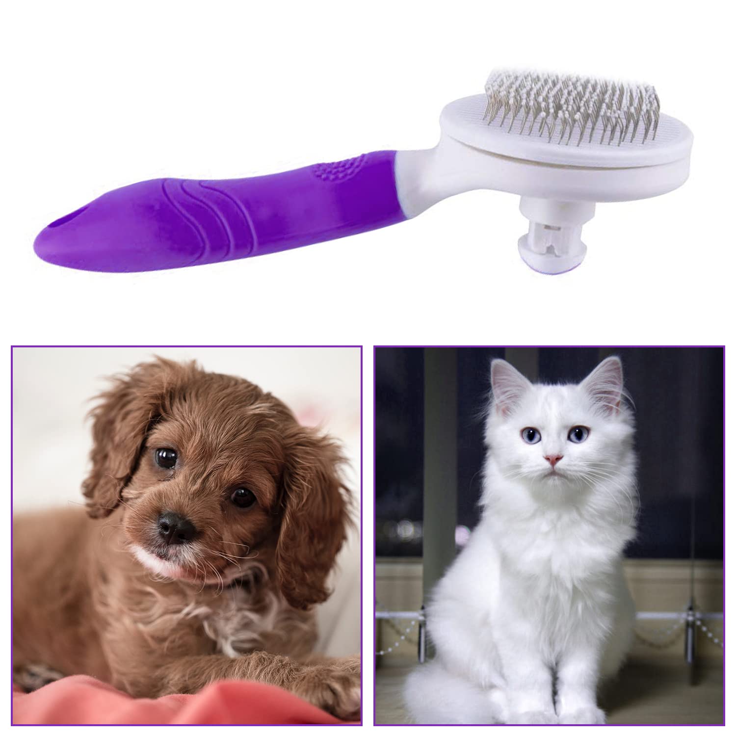itPlus Cat Grooming Brush, Self-Cleaning Slicker for Dogs & Cats, Purple, Rubber, Model ZI-001-BRUSH-Purple