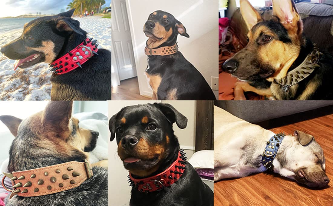 Kawagogo Spiked Dog Collar With Large Sharp Spikes,2 Inch Wide Leather Dog Collar,Anti-Bite,Fit Large Medium Dogs,Pitbull Doberm