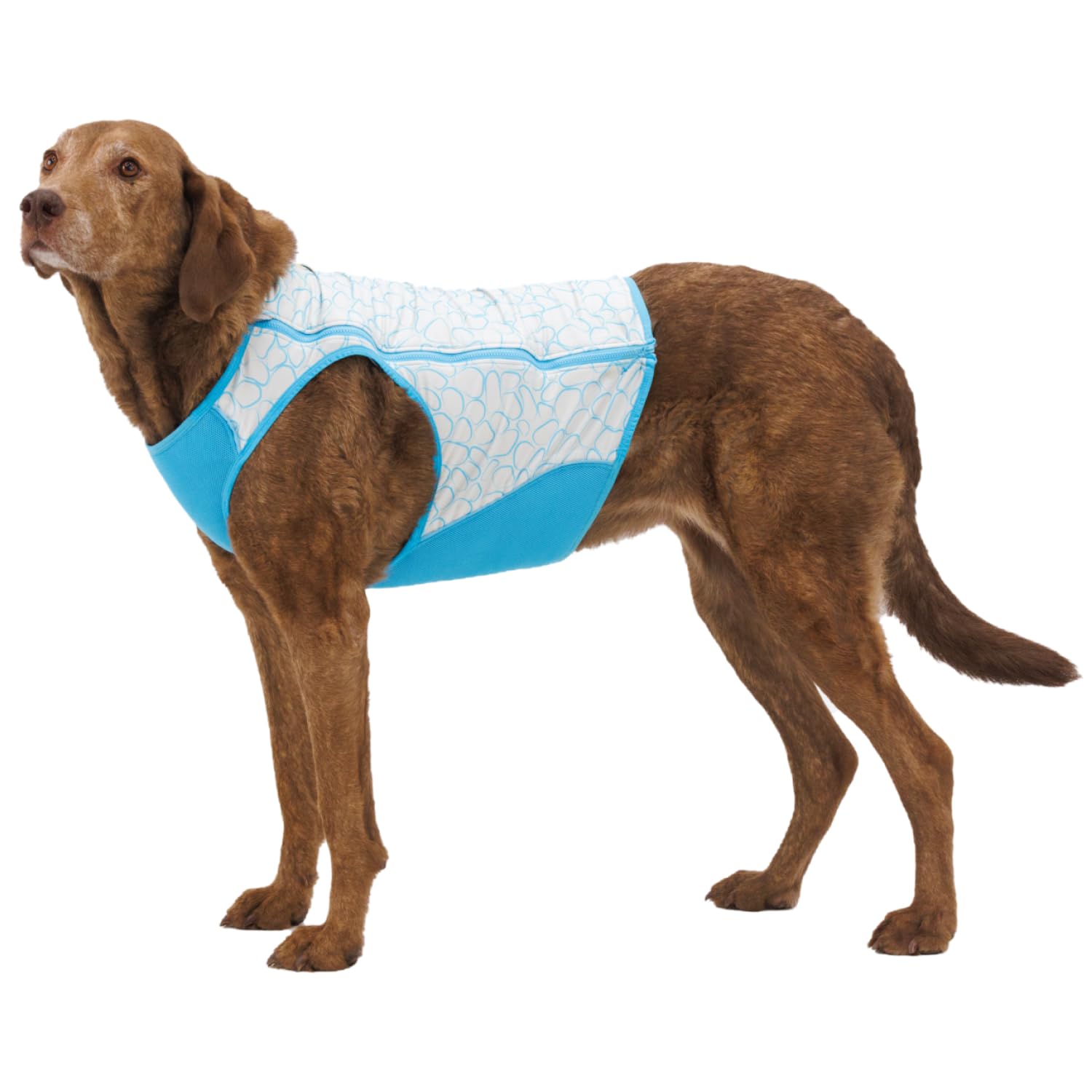 Ruffwear, Swamp Cooler Zip Dog Vest, Evaporative Cooling For Hot Weather, Biolumin Blue, Xx-Small